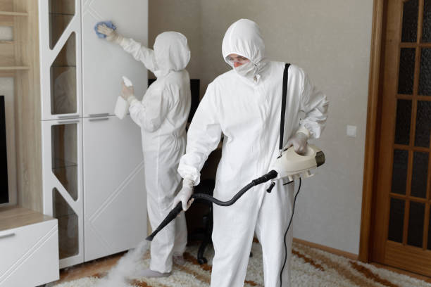 Certified Mold Removal in Iowa City, IA