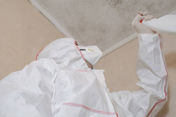 Best Professional Mold Removal  in Iowa City, IA